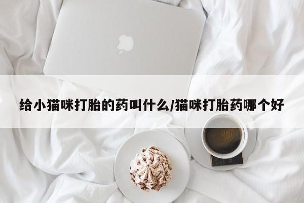 网上哪里买打胎药给小猫咪打胎的药叫什么/猫咪打胎药哪个好