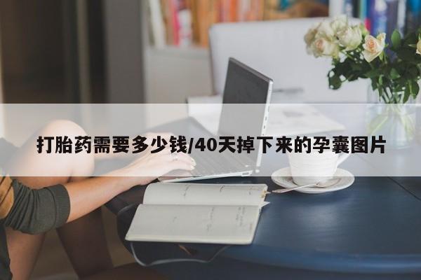 网上哪里买打胎药打胎药需要多少钱/40天掉下来的孕囊图片